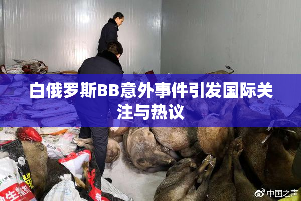 白俄罗斯BB意外事件引发国际关注与热议