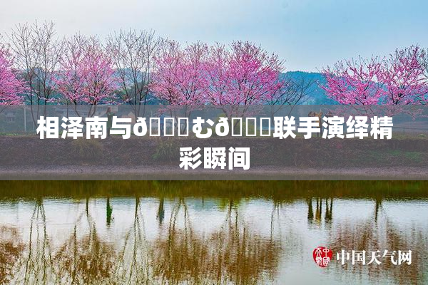 相泽南与😚む🍍联手演绎精彩瞬间