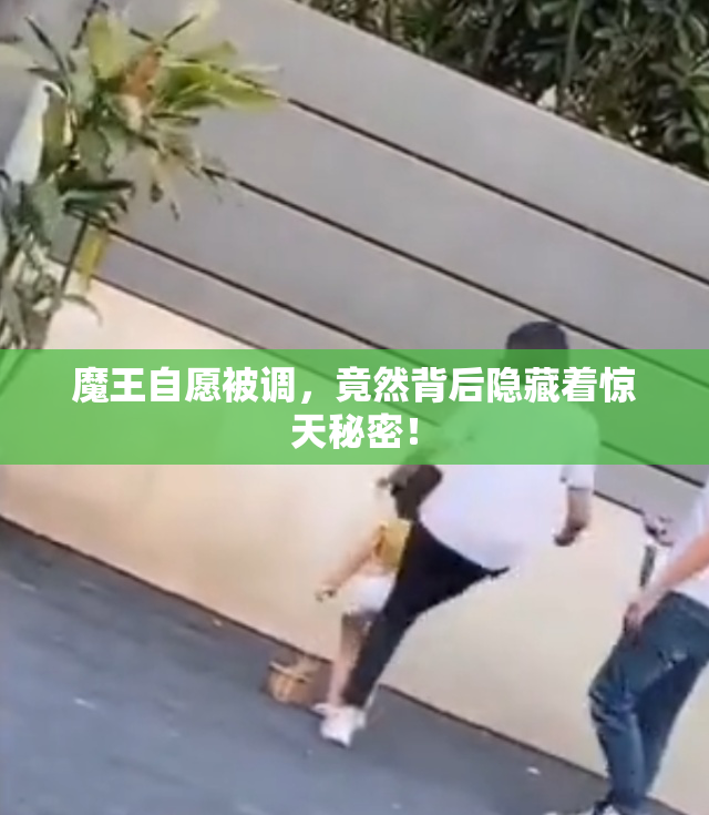 魔王自愿被调，竟然背后隐藏着惊天秘密！