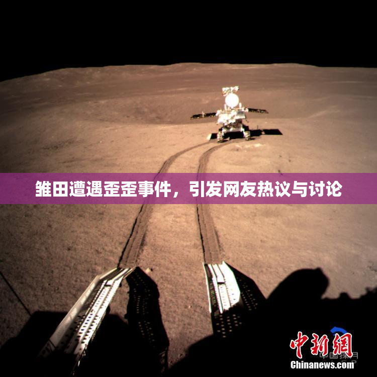 雏田遭遇歪歪事件，引发网友热议与讨论