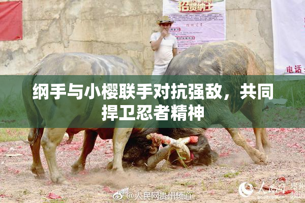 纲手与小樱联手对抗强敌，共同捍卫忍者精神