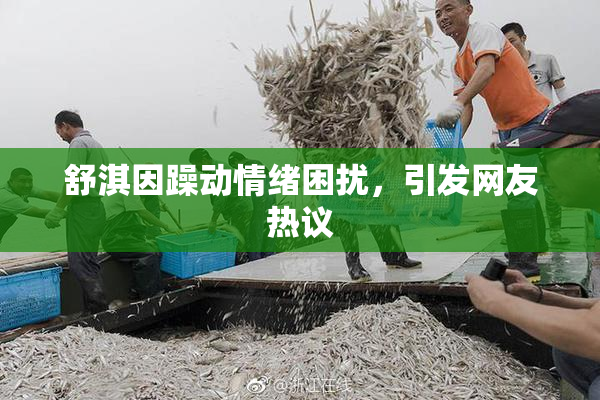 舒淇因躁动情绪困扰，引发网友热议