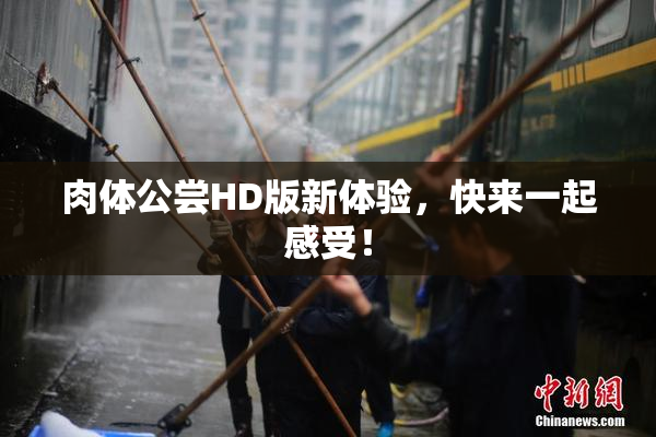 肉体公尝HD版新体验，快来一起感受！