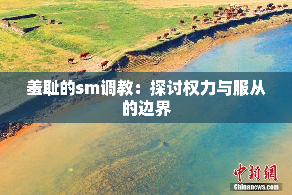 羞耻的sm调教：探讨权力与服从的边界