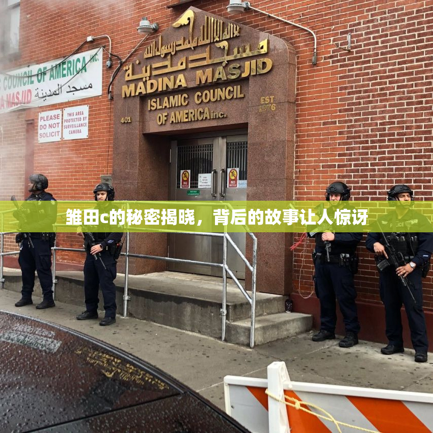 雏田c的秘密揭晓，背后的故事让人惊讶
