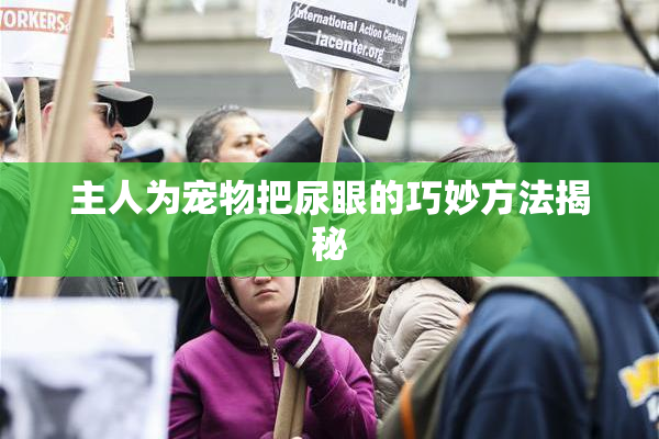 主人为宠物把尿眼的巧妙方法揭秘