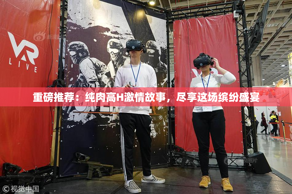 重磅推荐：纯肉高H激情故事，尽享这场缤纷盛宴