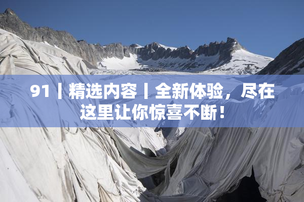 91丨精选内容丨全新体验，尽在这里让你惊喜不断！