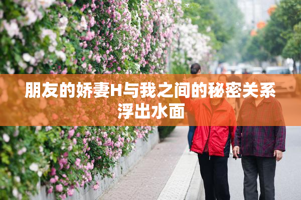 朋友的娇妻H与我之间的秘密关系浮出水面
