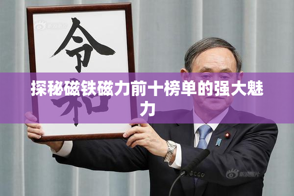 探秘磁铁磁力前十榜单的强大魅力