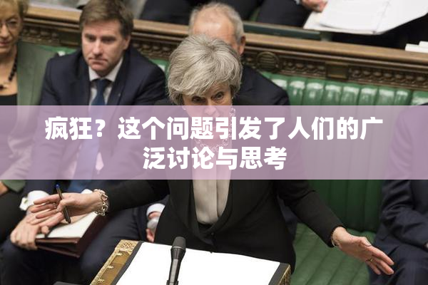 疯狂？这个问题引发了人们的广泛讨论与思考