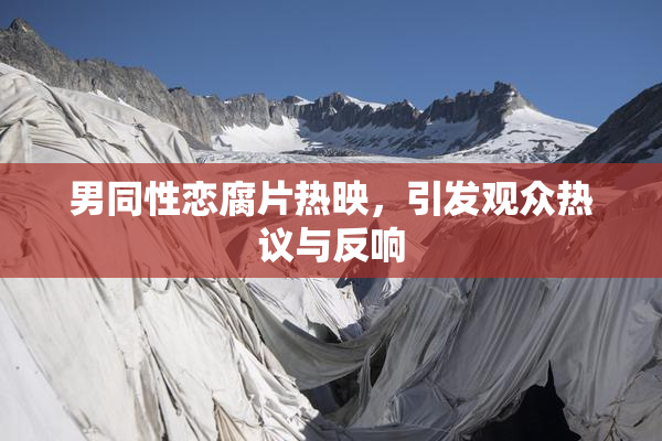 男同性恋腐片热映，引发观众热议与反响