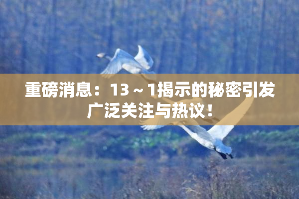 重磅消息：13～1揭示的秘密引发广泛关注与热议！
