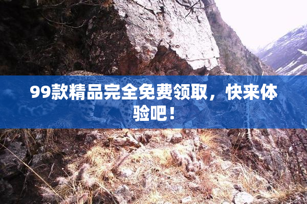 99款精品完全免费领取，快来体验吧！