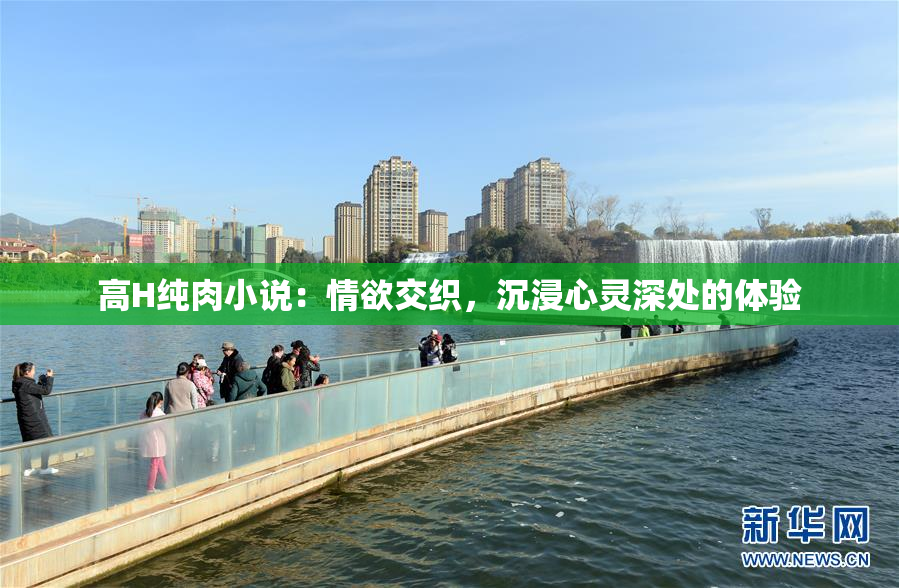 高H纯肉小说：情欲交织，沉浸心灵深处的体验
