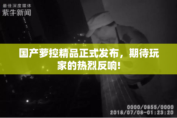 国产萝控精品正式发布，期待玩家的热烈反响!