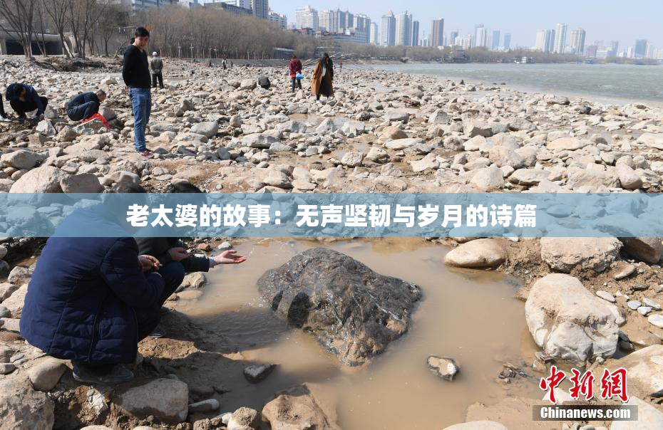 老太婆的故事：无声坚韧与岁月的诗篇