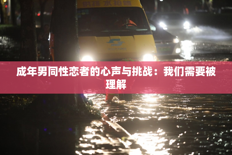 成年男同性恋者的心声与挑战：我们需要被理解