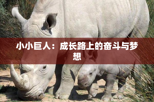 小小巨人：成长路上的奋斗与梦想