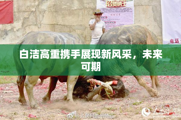 白洁高重携手展现新风采，未来可期