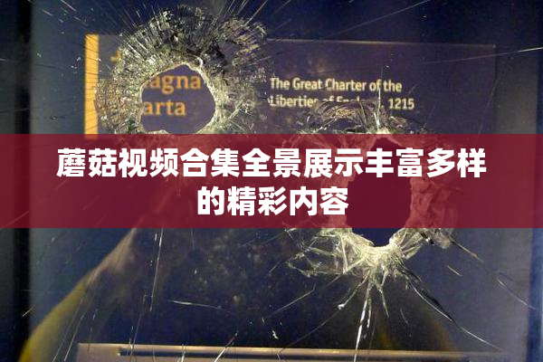 蘑菇视频合集全景展示丰富多样的精彩内容