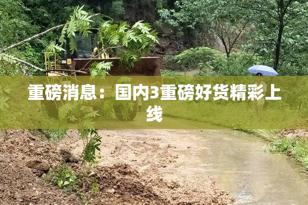 重磅消息：国内3重磅好货精彩上线