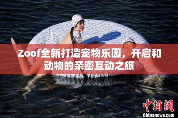 Zoof全新打造宠物乐园，开启和动物的亲密互动之旅