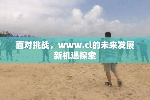 面对挑战，www.cl的未来发展新机遇探索
