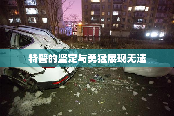 特警的坚定与勇猛展现无遗