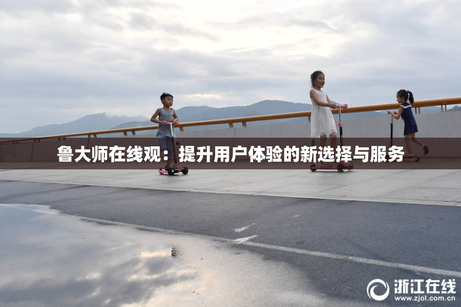 鲁大师在线观：提升用户体验的新选择与服务