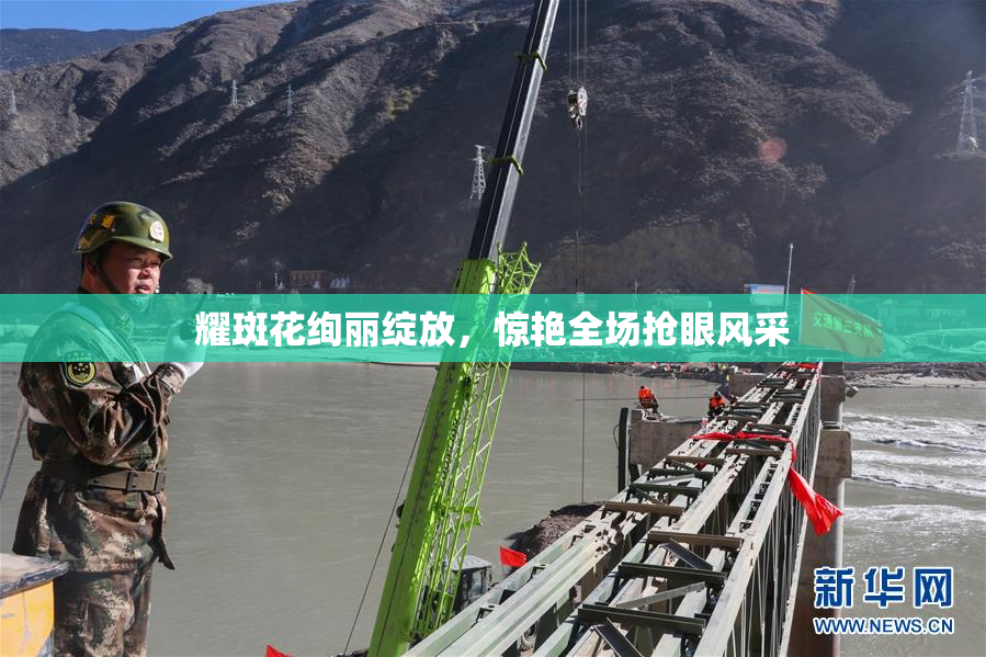 耀斑花绚丽绽放，惊艳全场抢眼风采