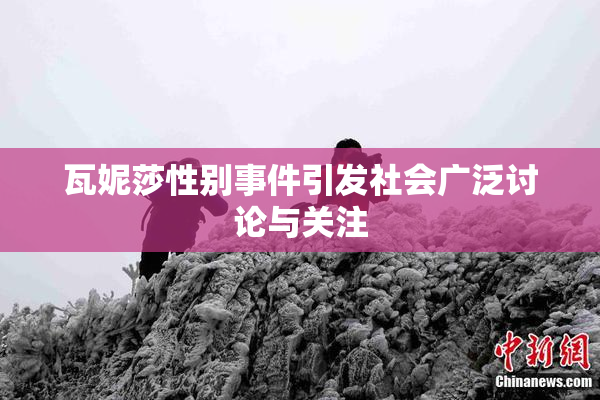 瓦妮莎性别事件引发社会广泛讨论与关注