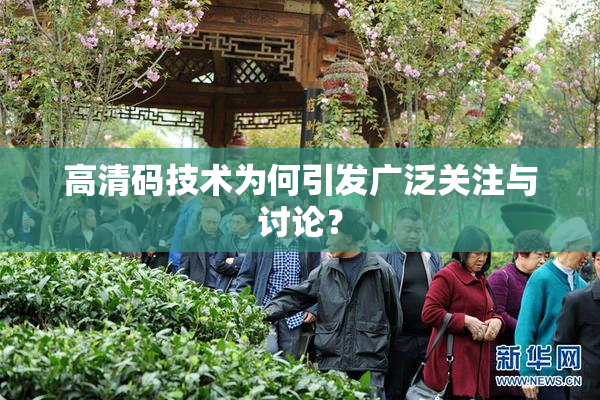 高清码技术为何引发广泛关注与讨论？