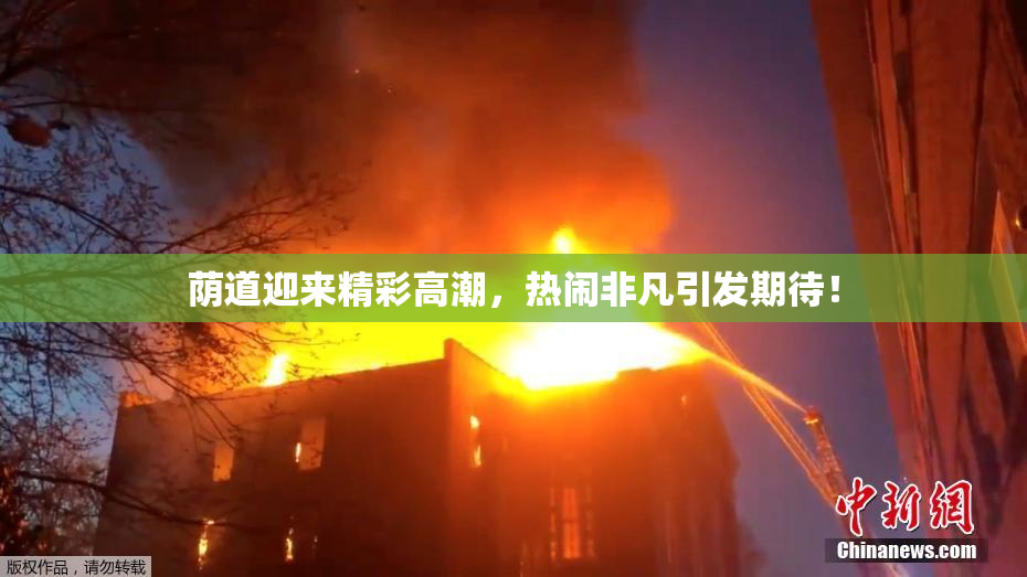 荫道迎来精彩高潮，热闹非凡引发期待！