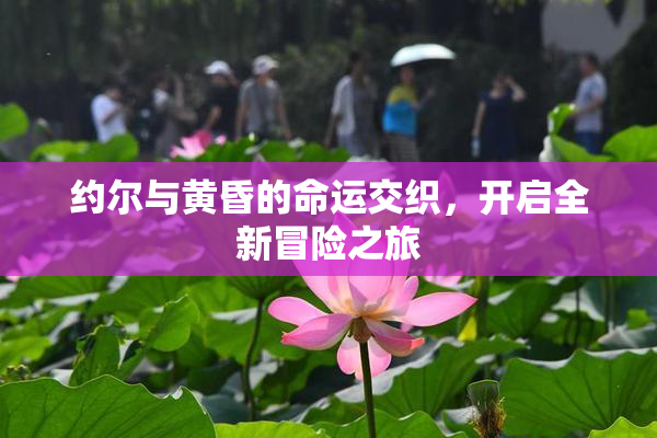 约尔与黄昏的命运交织，开启全新冒险之旅