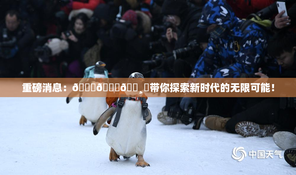 重磅消息：🍑👅🌸‌带你探索新时代的无限可能！