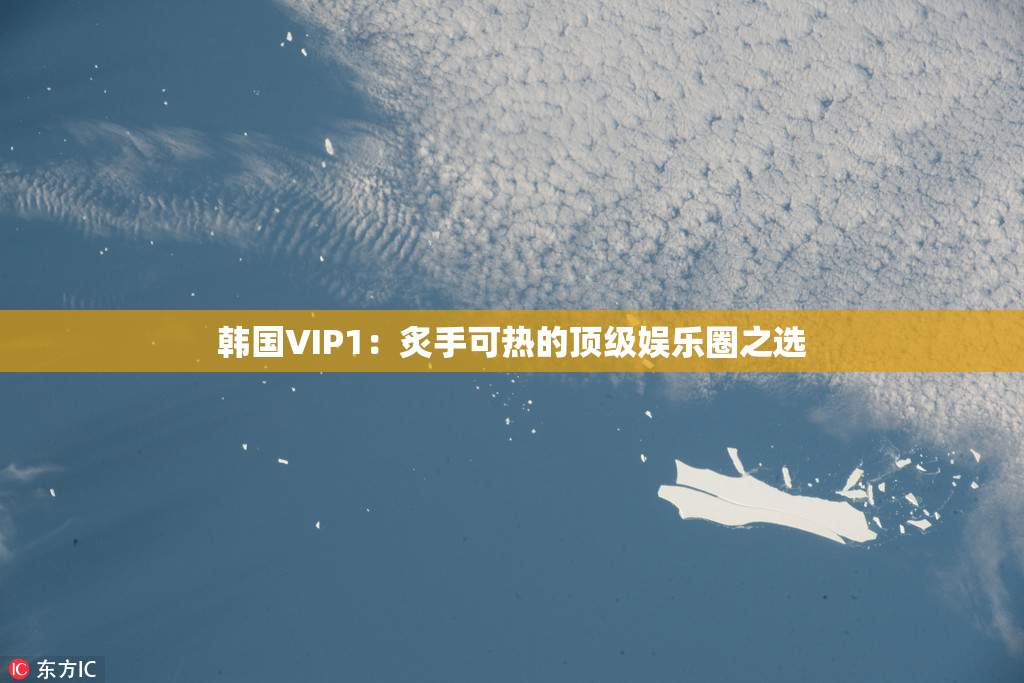 韩国VIP1：炙手可热的顶级娱乐圈之选