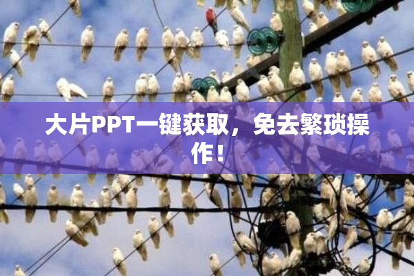 大片PPT一键获取，免去繁琐操作！