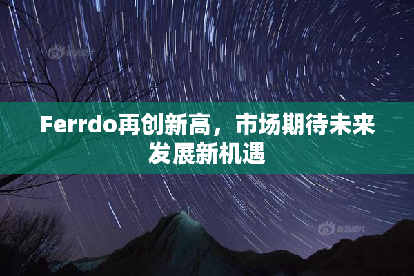 Ferrdo再创新高，市场期待未来发展新机遇