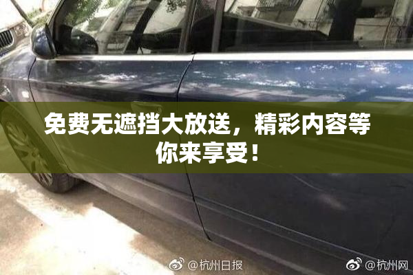 免费无遮挡大放送，精彩内容等你来享受！