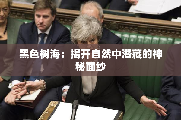 黑色树海：揭开自然中潜藏的神秘面纱