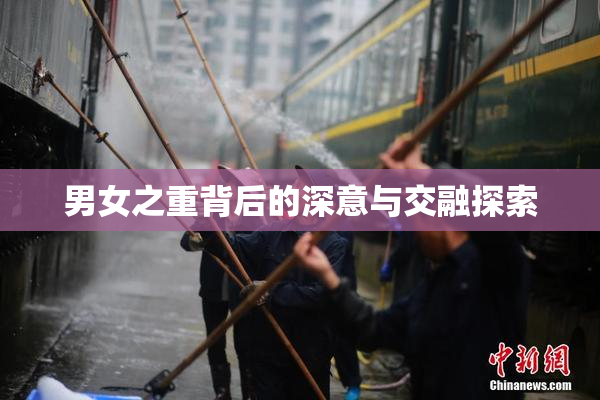 男女之重背后的深意与交融探索