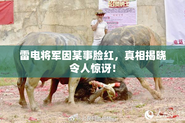 雷电将军因某事脸红，真相揭晓令人惊讶！