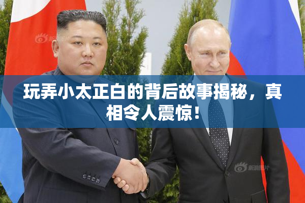 玩弄小太正白的背后故事揭秘，真相令人震惊！
