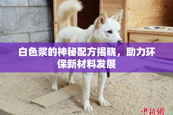白色浆的神秘配方揭晓，助力环保新材料发展