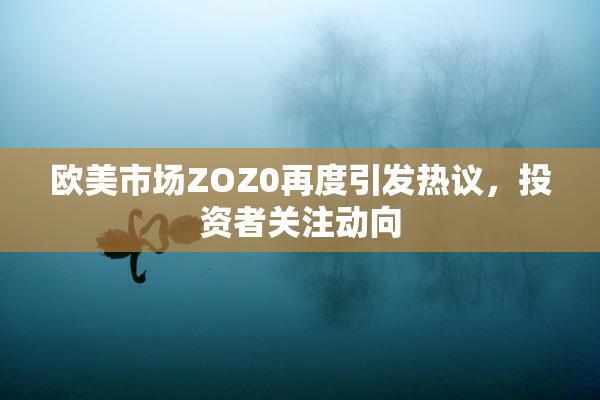 欧美市场ZOZ0再度引发热议，投资者关注动向