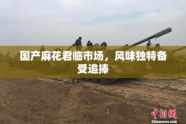 国产麻花君临市场，风味独特备受追捧