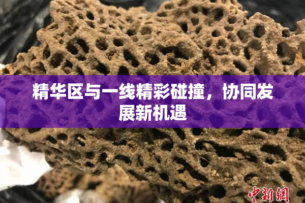 精华区与一线精彩碰撞，协同发展新机遇