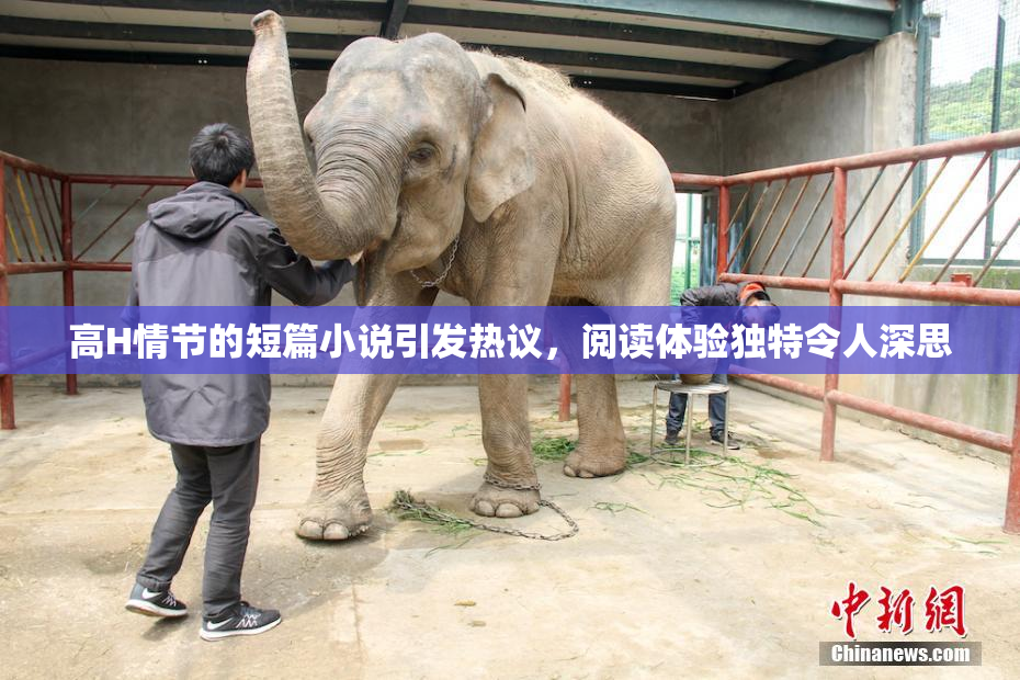 高H情节的短篇小说引发热议，阅读体验独特令人深思