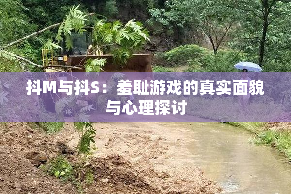 抖M与抖S：羞耻游戏的真实面貌与心理探讨